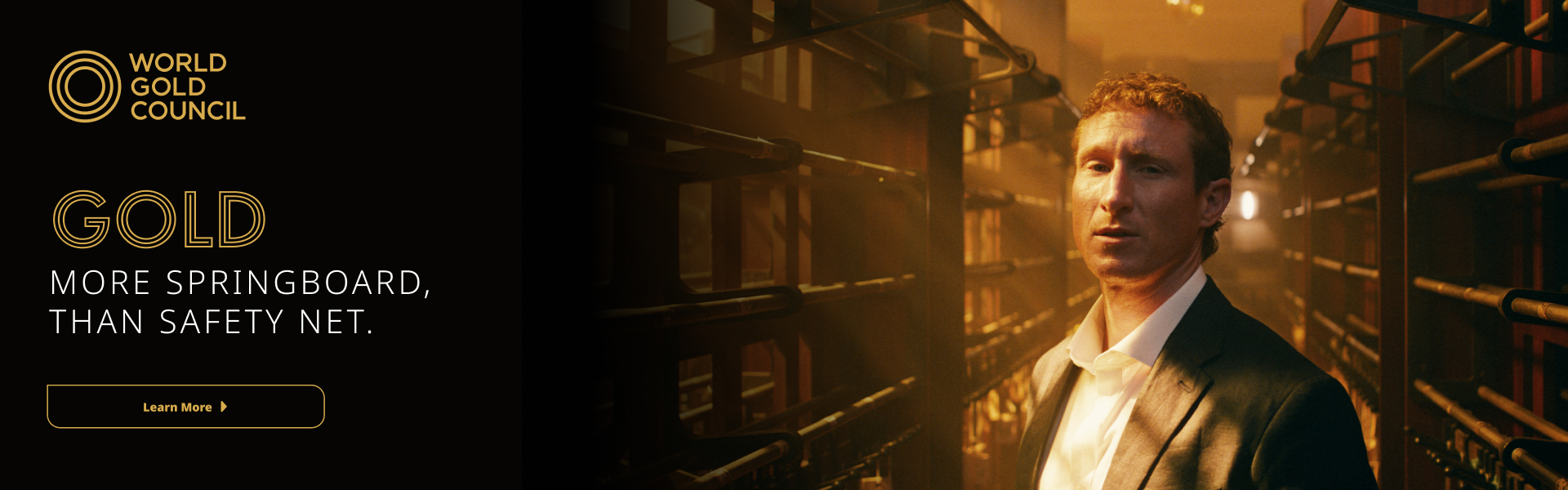 World Platinum Investment Council