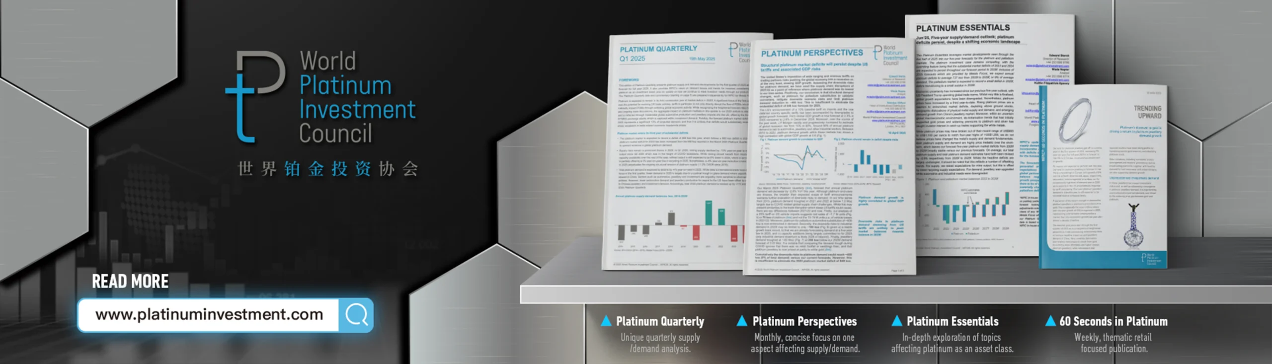 World Platinum Investment Council